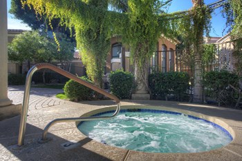 Spa at La Borgata Apartments in Surprise AZ